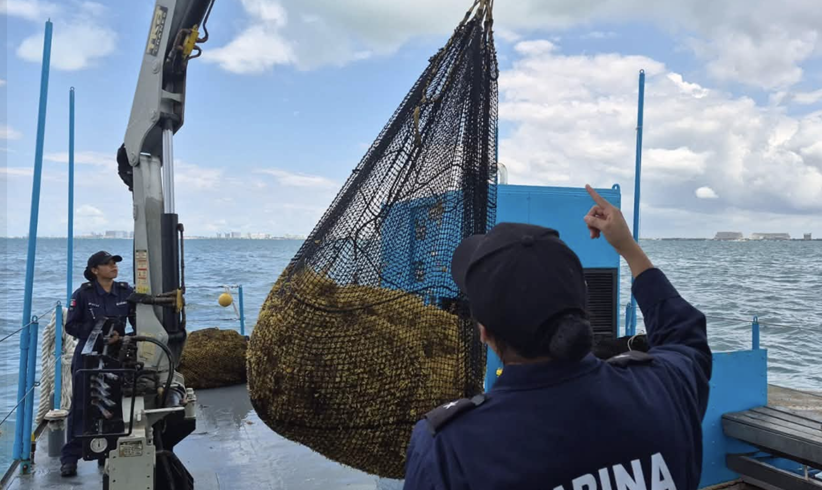 Quintana Roo alista primera pesquería formal de sargazo a nivel internacional