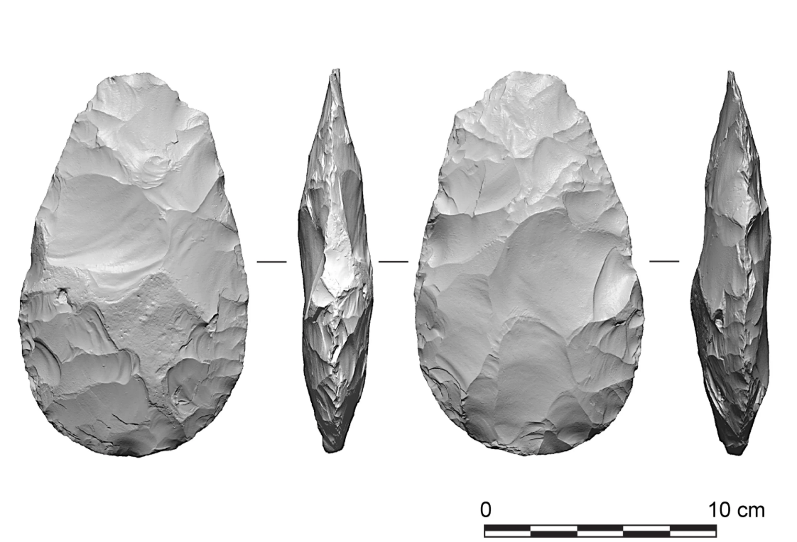 Hallan la herramienta de hueso de elefante más antigua de Europa, de hace 480 mil años
