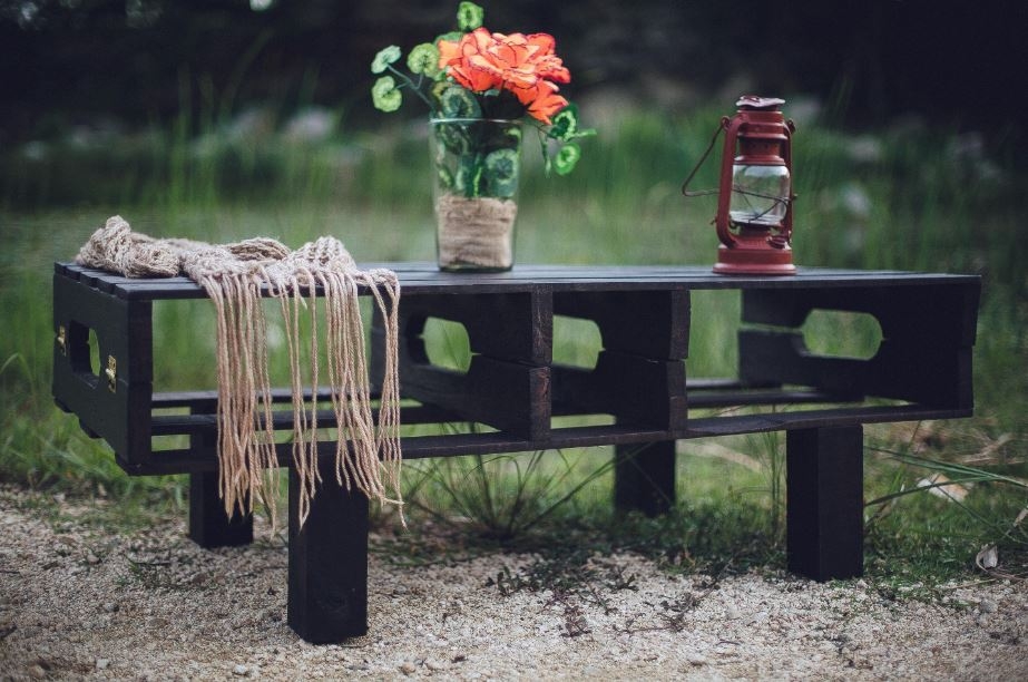 Pinúa, una alternativa sustentable