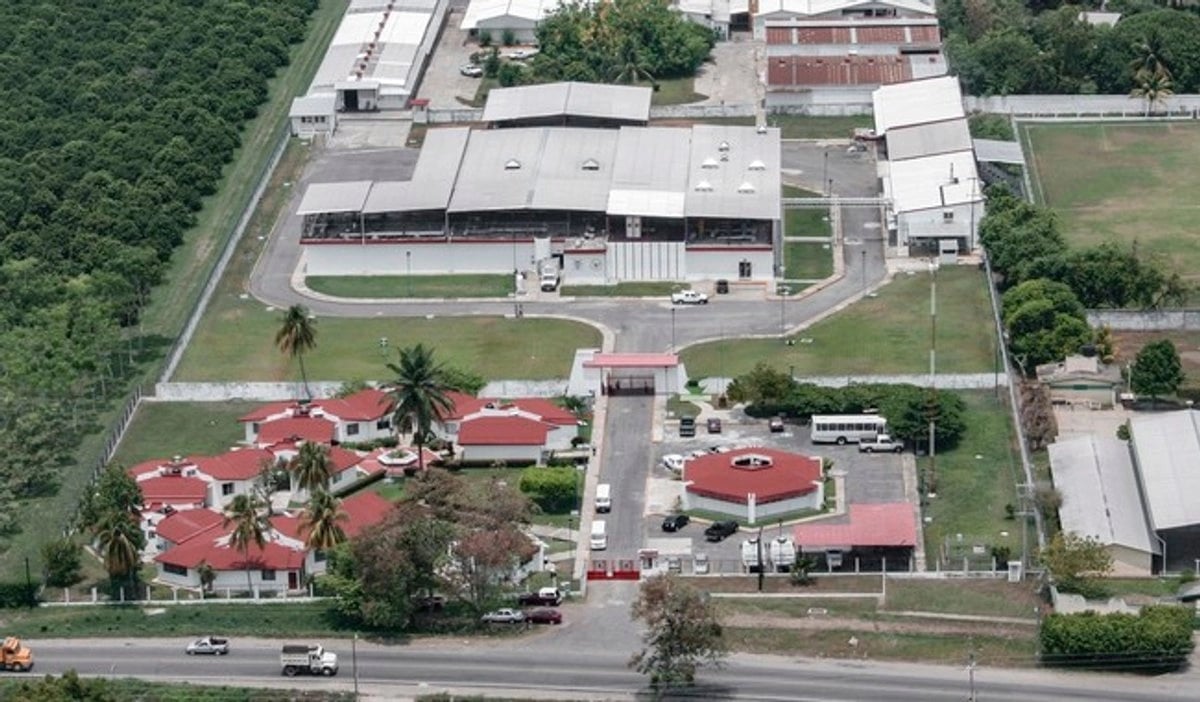 Planta productora de moscas contra gusano barrenador registra avance del 50 por ciento: Sader