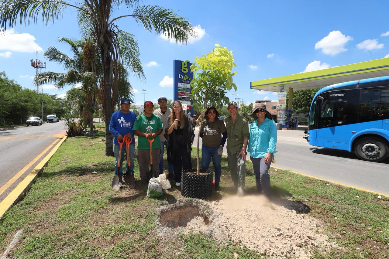 Actualizan Plan de Infraestructura Verde; el documento marca una ruta para una Mérida sostenible y ecológica