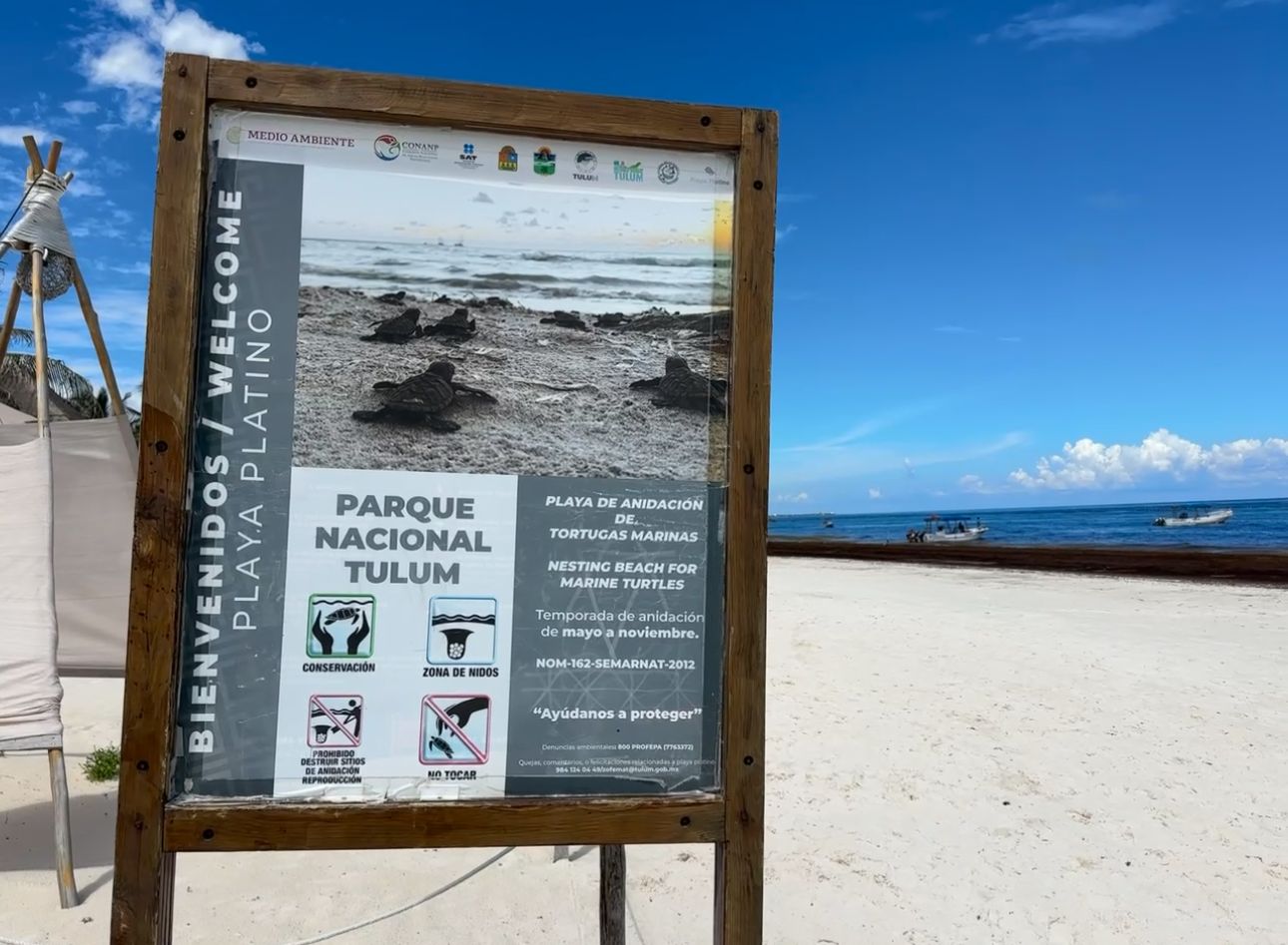 Mara Lezama gestionará en CDMX solución al acceso y cobros en el Parque del Jaguar de Tulum