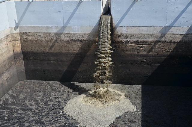 Asociación civil lucha contra 