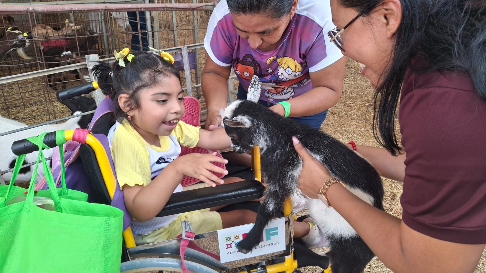Yucatán: Personas discapacidad viven experiencia inclusiva en Ponylandia