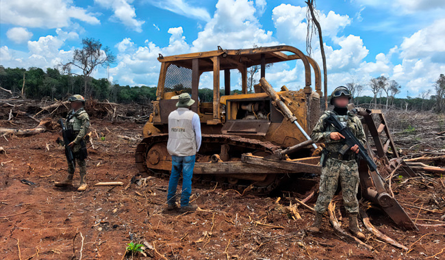 Clausura Profepa 17 predios con cambio ilegal de uso de suelo en la Península; la mayoría en Quintana Roo