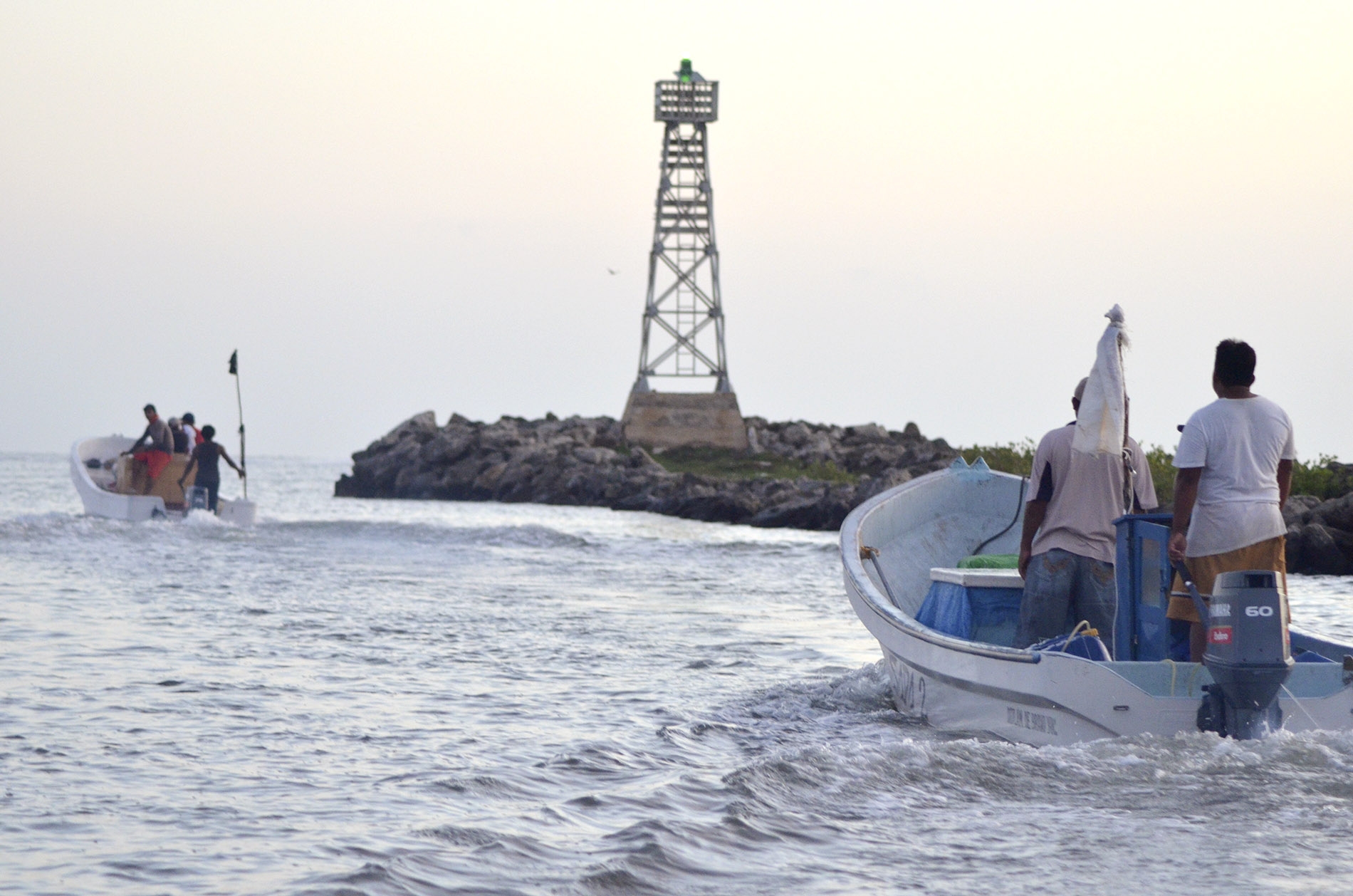 Crónica de una búsqueda de pepino de mar