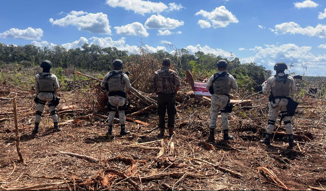 Profepa clausura predio por cambio de uso de suelo en Champotón, Campeche