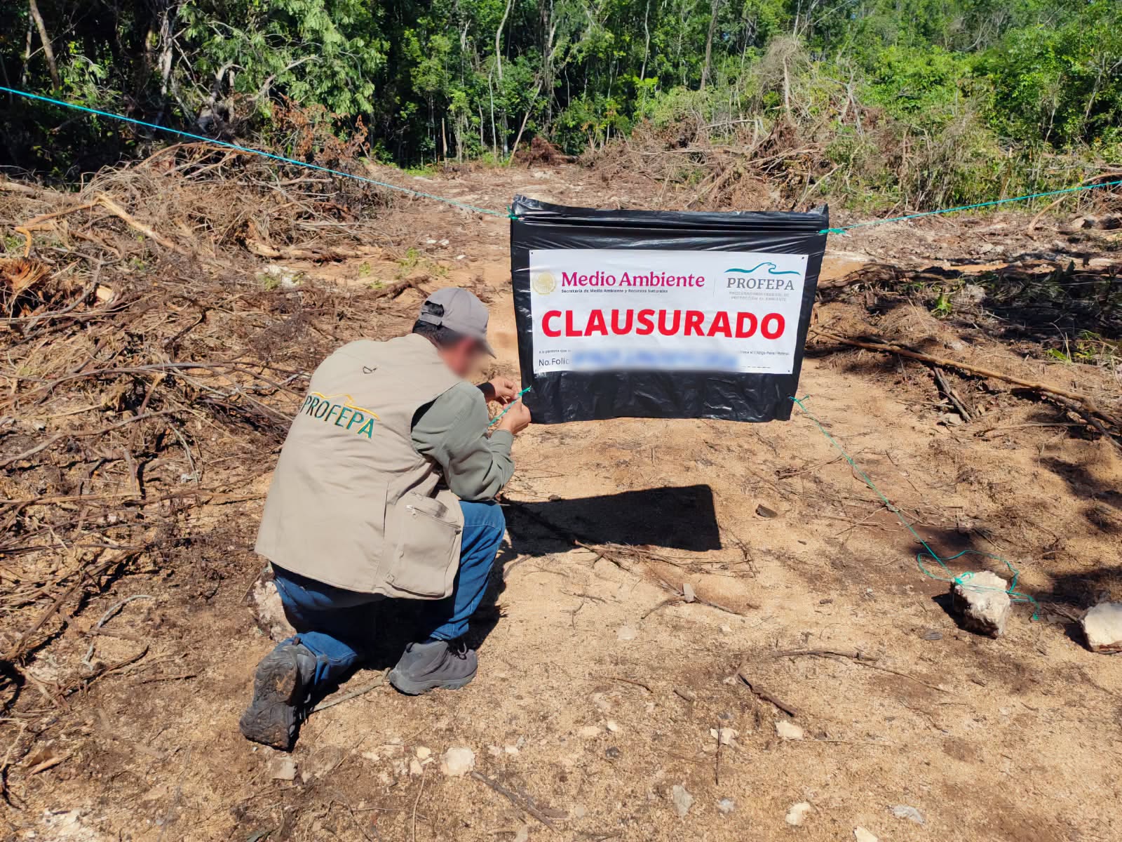 Clausura Profepa desmonte de vegetación en Playa del Carmen