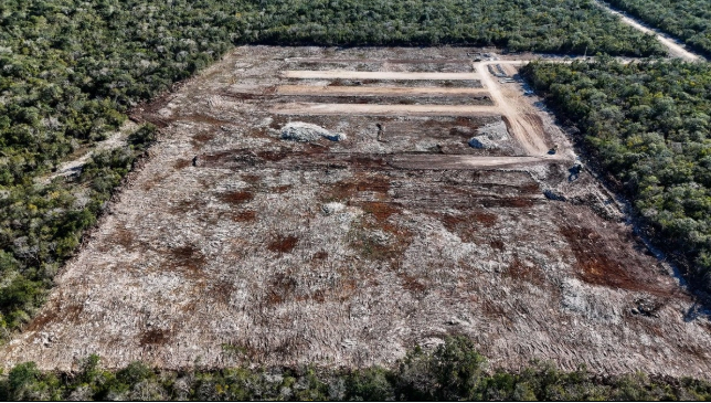 Profepa amplía denuncia contra productora de huevo CRÍO por violar sellos de clausura en Yucatán