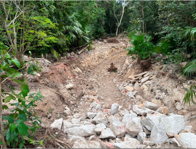 Por no contar con autorización de impacto ambiental, Profepa clausura temporalmente obras en Mahahual
