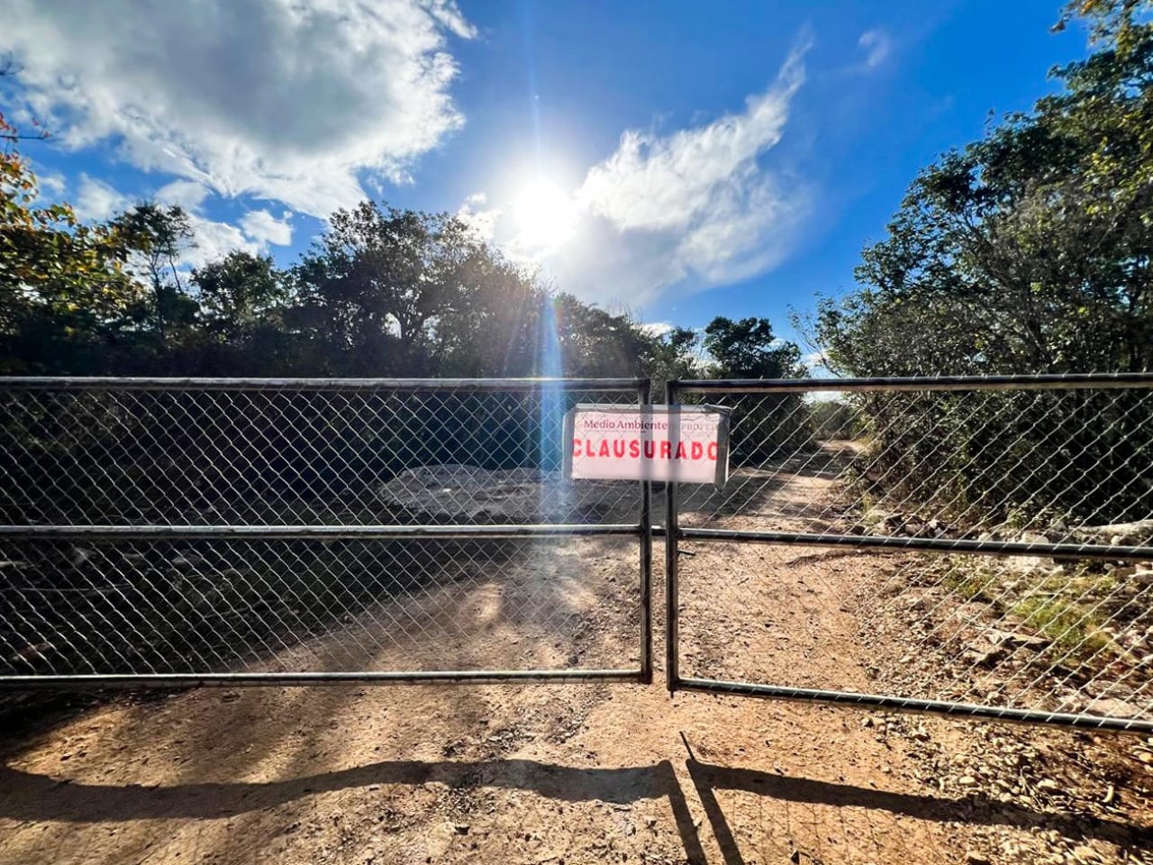 Profepa clausura predio en Kinchil, Yucatán, por remoción de vegetación para almacenar gallinaza