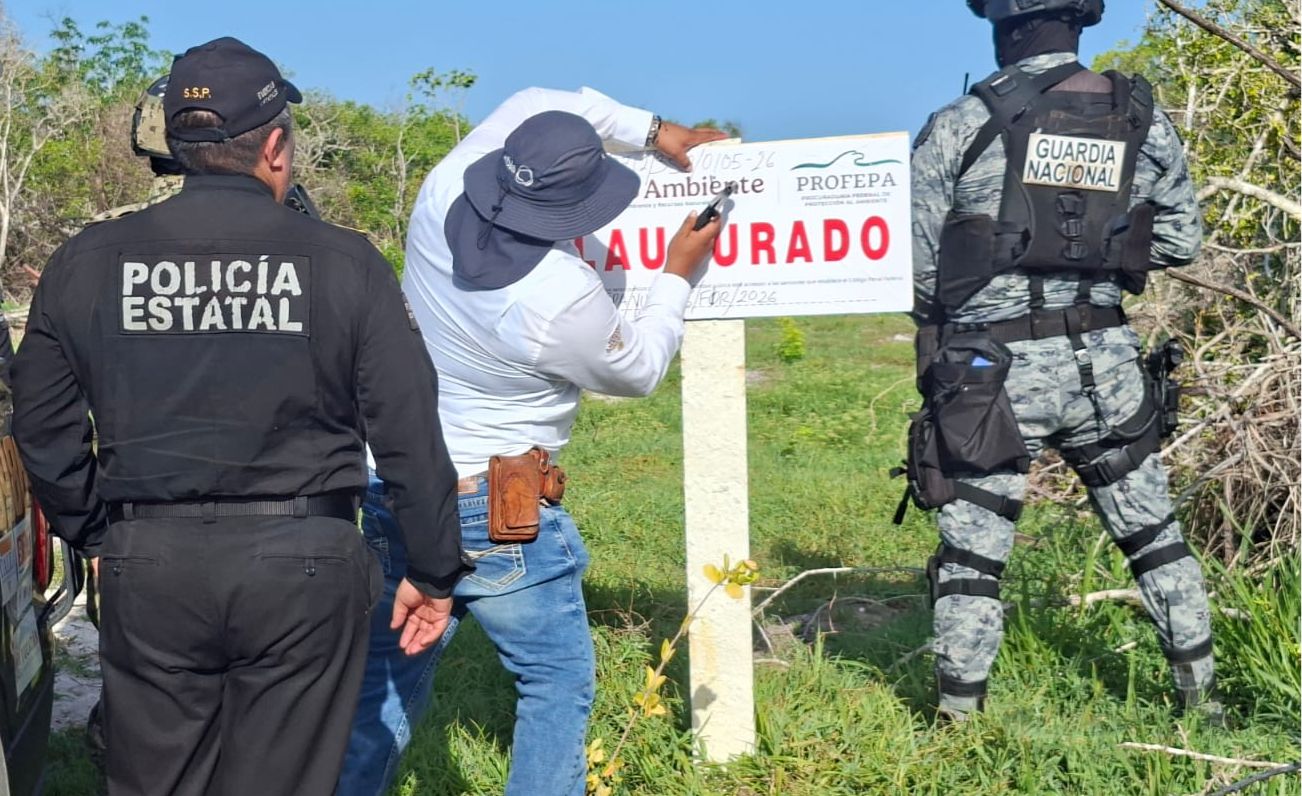 Profepa clausura 17 predios relacionados con delitos ambientales en Celestún 