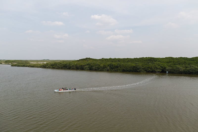 De ausencias notorias