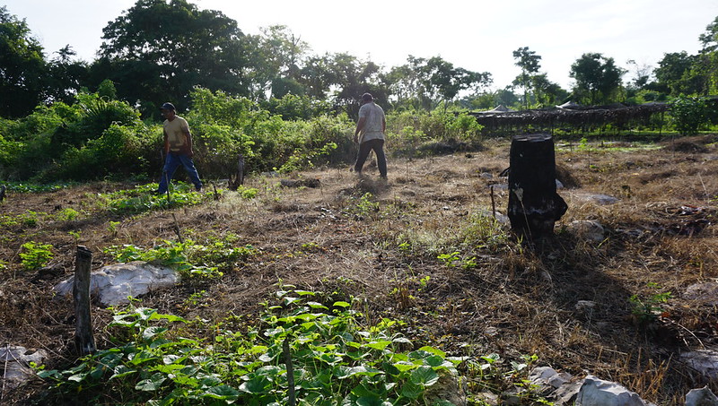 Anuncian paro nacional y bloqueo de puertos por despojos agrarios en Campeche