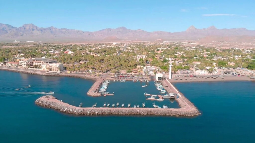 Sheinbaum asegura que entrada de cruceros y navíos no afectará a ballenas en Puerto Loreto