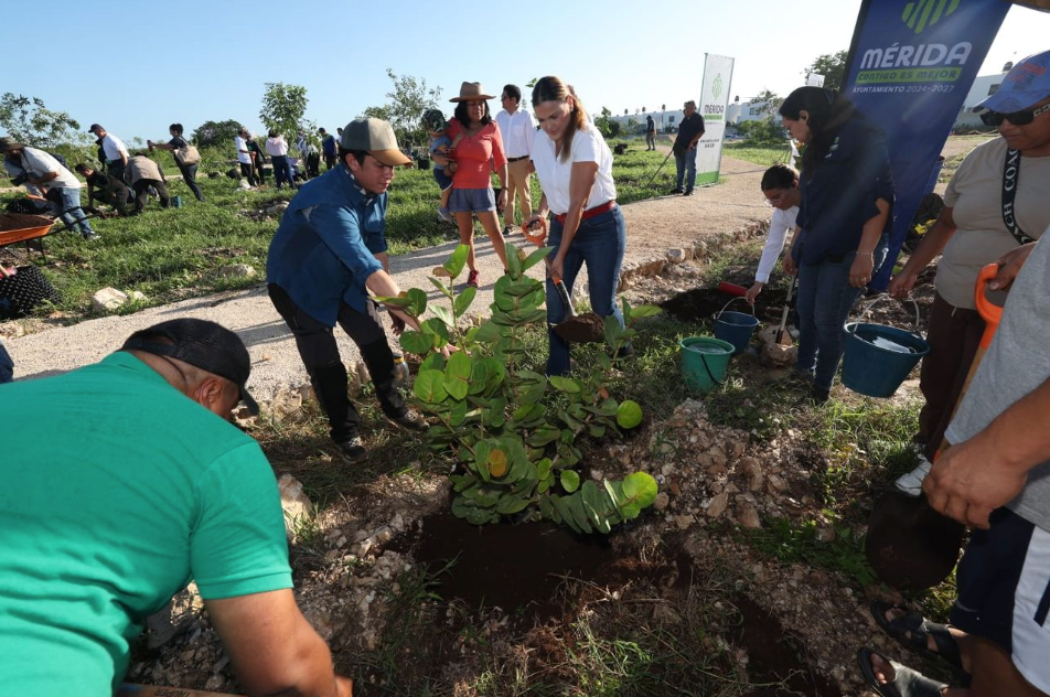 Mérida planta su primer bosque urbano y celebra casi 40 mil árboles adoptados