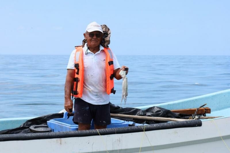 Yucatán cierra exitosa temporada de pulpo con una captura de 25 mil 462 toneladas