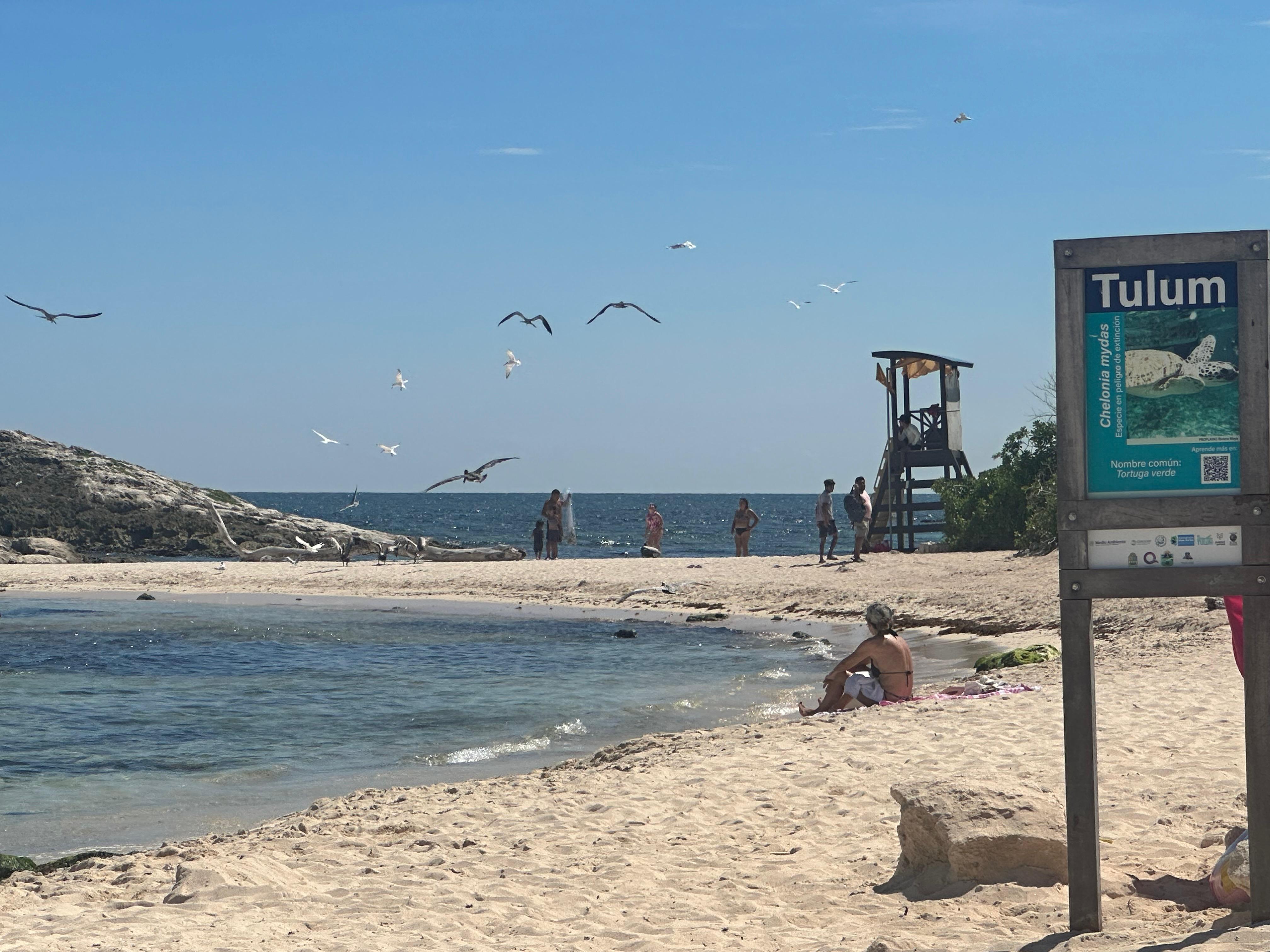 Se despide el sargazo de las playas de Quintana Roo