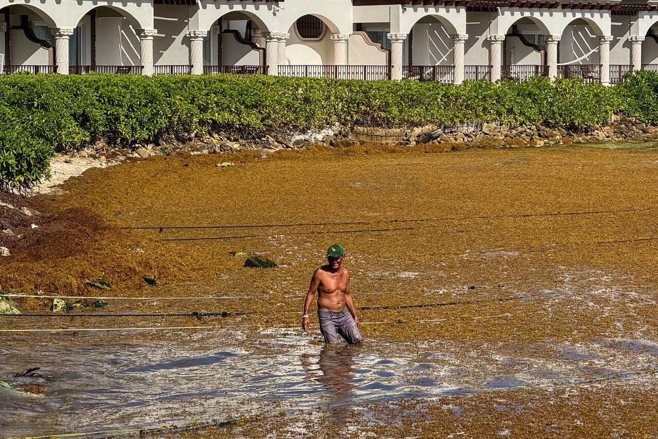 Quintana Roo intensifica labores de contención del arribo de sargazo