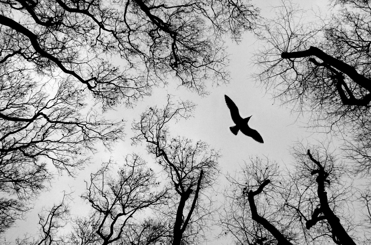 De La Jornada a la Jordania