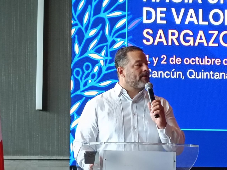 República Dominicana busca concretar convenio con el Caribe Mexicano para atención al sargazo