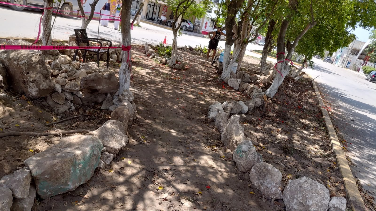 Reforestan como parte del proyecto Jardines Urbanos de Tulum