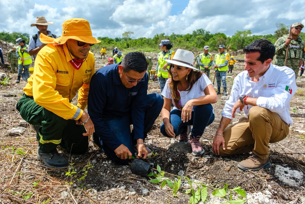 Quintana Roo se suma al Programa Nacional de Reforestación con más de 12 mil árboles
