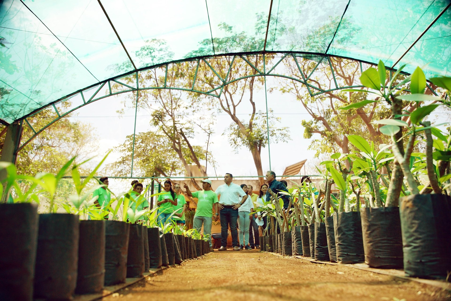 Plantarán 10 mil árboles en Mérida durante Cruzada Forestal