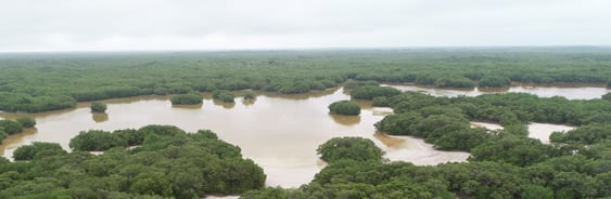 Yucatán, a la vanguardia en conservación de áreas naturales