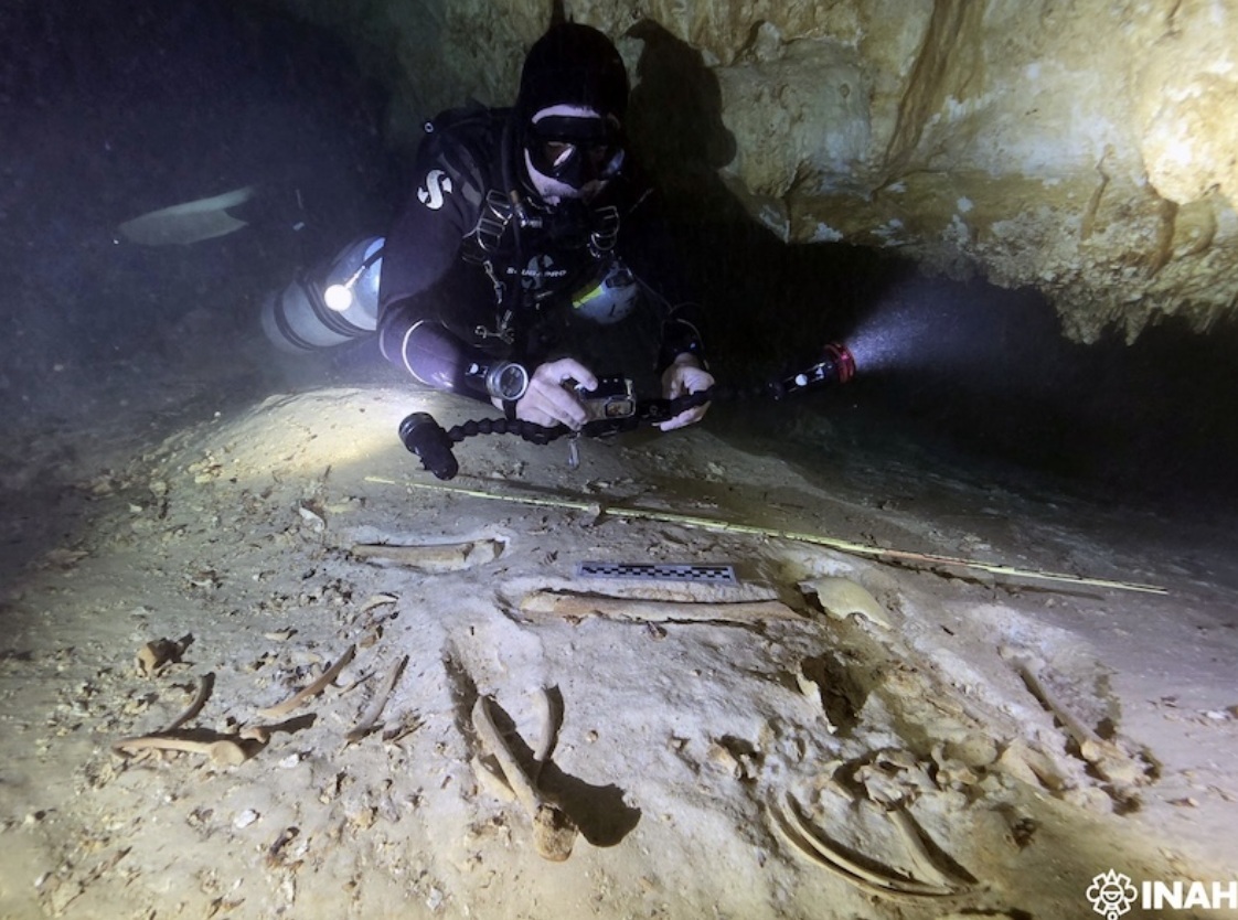 Traslada INAH fósiles humanos, recuperados en Quintana Roo, para estudios de antropología física