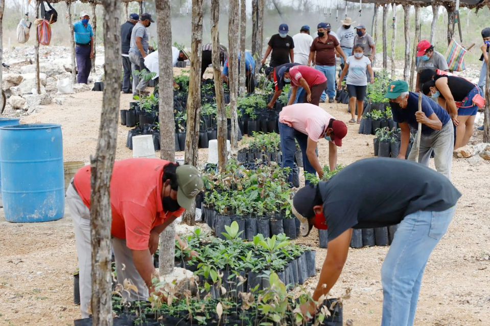¿Agroecología en Quintana Roo?