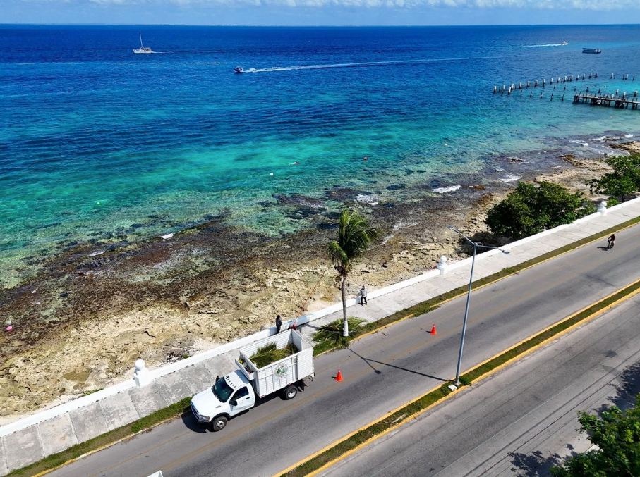 Descartan posible construcción de Royal Caribbean en Cozumel