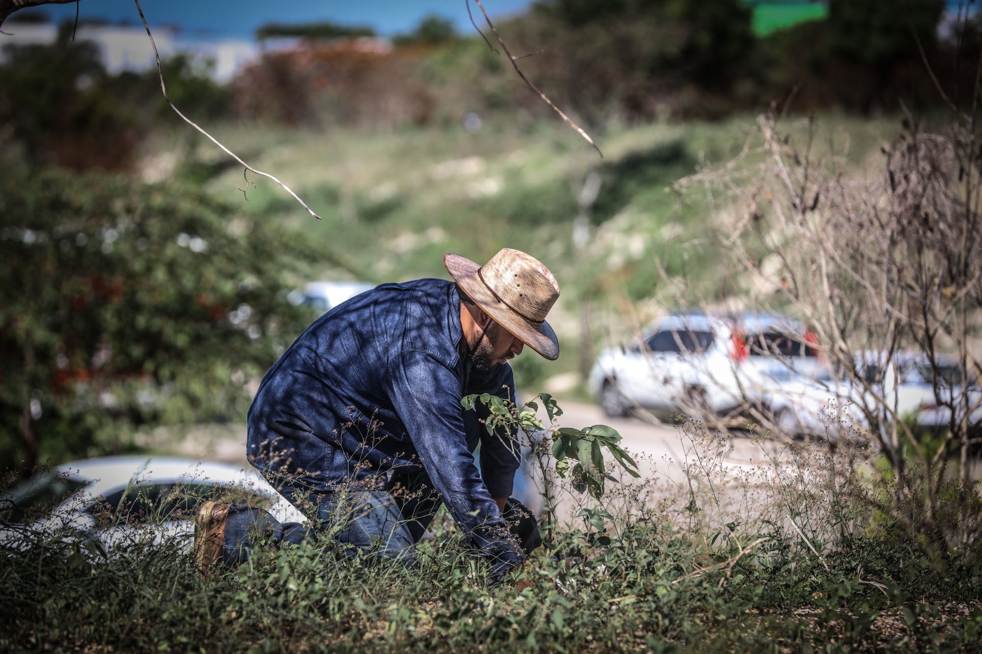 Senseable City lanza campaña de ciencia ciudadana en Mérida