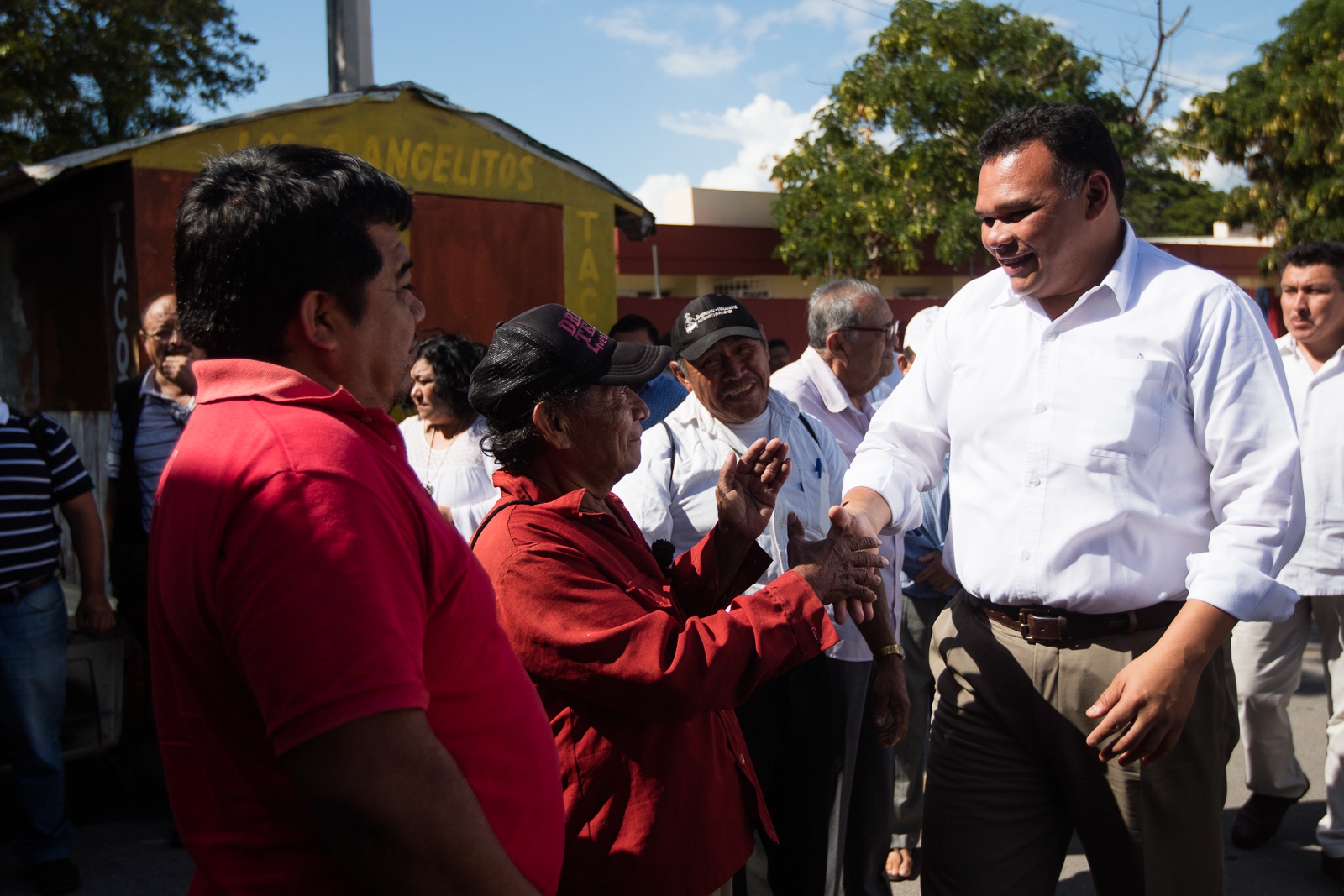 Henequén, apuesta efectiva en Yucatán