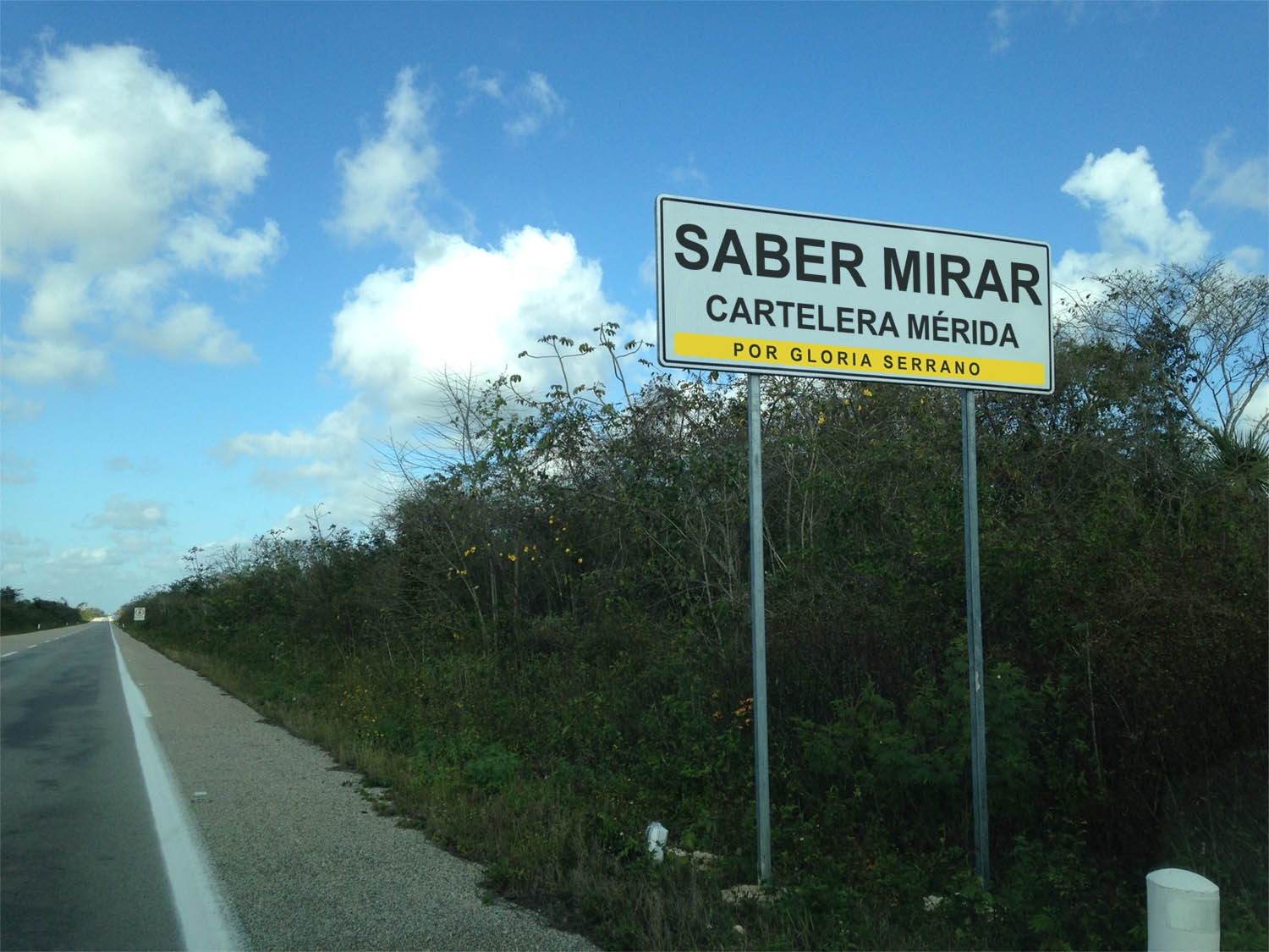 Saber Mirar · Gloria Serrano