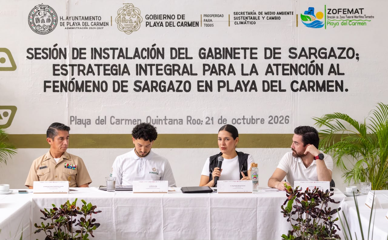35% del sargazo que se recolecta en Quintana Roo corresponde a Playa del Carmen 