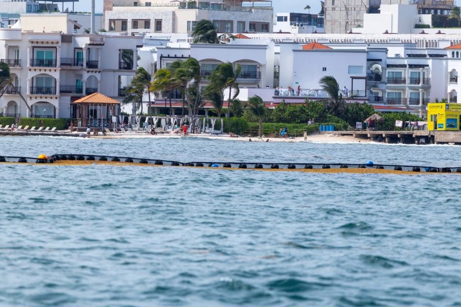 Arranca estrategia integral contra el sargazo en Playa del Carmen