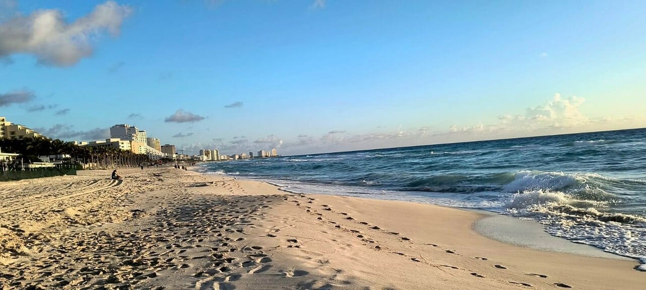 Más de 16 mil toneladas de sargazo se recolectaron en las playas de Cancún