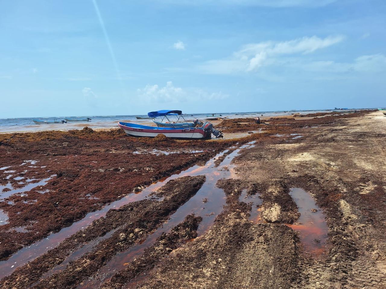 Playa del Carmen y Tulum concentran los mayores niveles de contaminación hídrica en QRoo: Centinelas del Agua