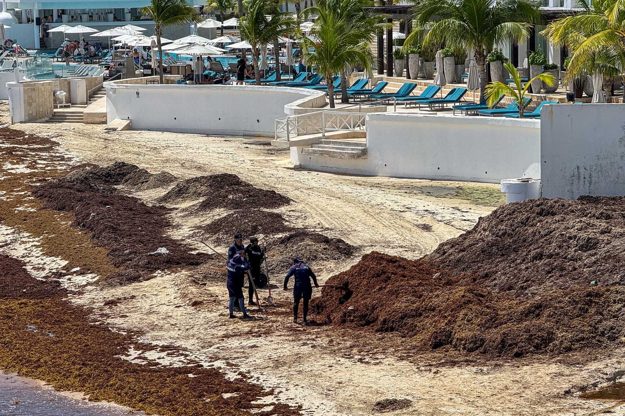 Evalúan funcionamiento del centro de monitoreo del sargazo en Quintana Roo