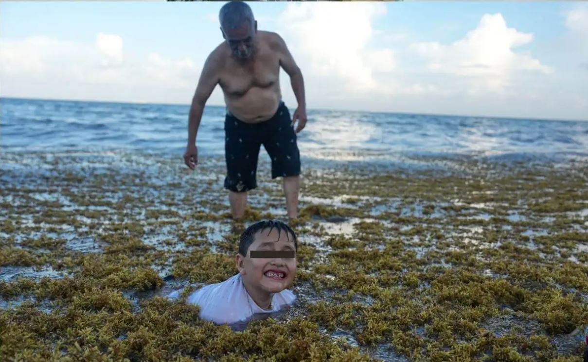 Retiran más de 2 mil 300 toneladas de sargazo en Quintana Roo en 10 días