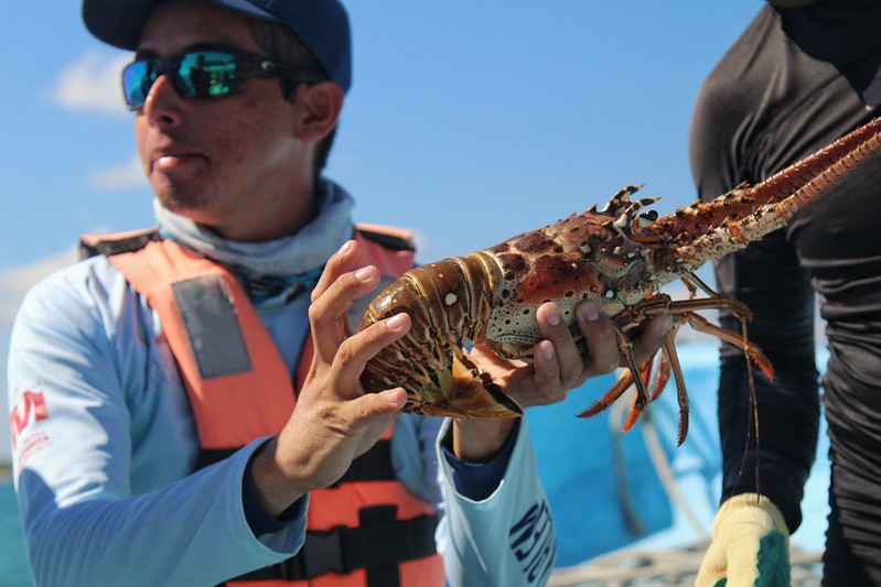 Difícil panorama para el sector desde antes de la pandemia: Comepesca