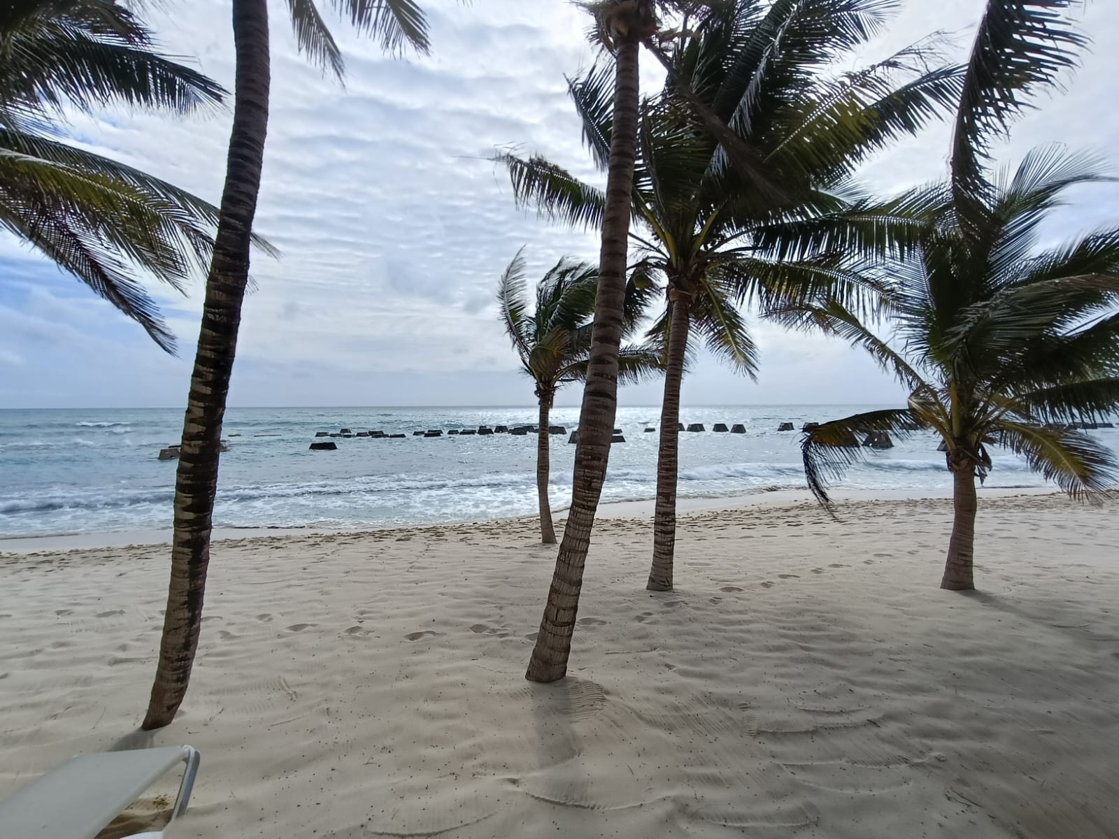 Empresarias turísticas reportan caída de reservaciones en el Caribe Mexicano