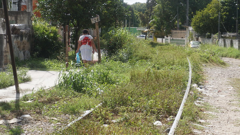 Piden organizaciones a Semarnat negar AIM del Tren Maya