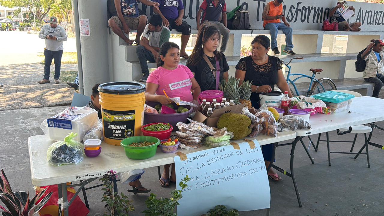 Productores de la zona maya de QRoo destacan la importancia de preservar prácticas de siembra tradicionales