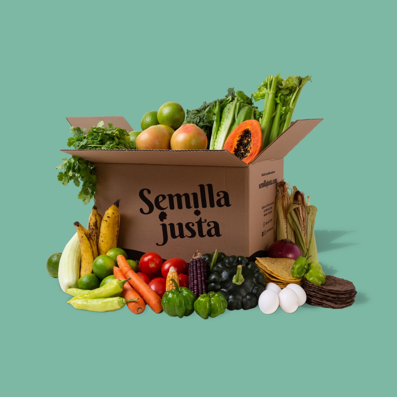 La Jornada Maya Yucatán Juan Manuel Contreras Semilla Justa, tienda de productos La Jornada Maya Yucatán Juan Manuel Contreras Semilla Justa, tienda de productos