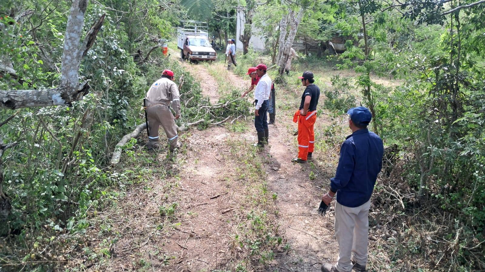 Zona oriente de Yucatán registra sequía severa: Conagua 