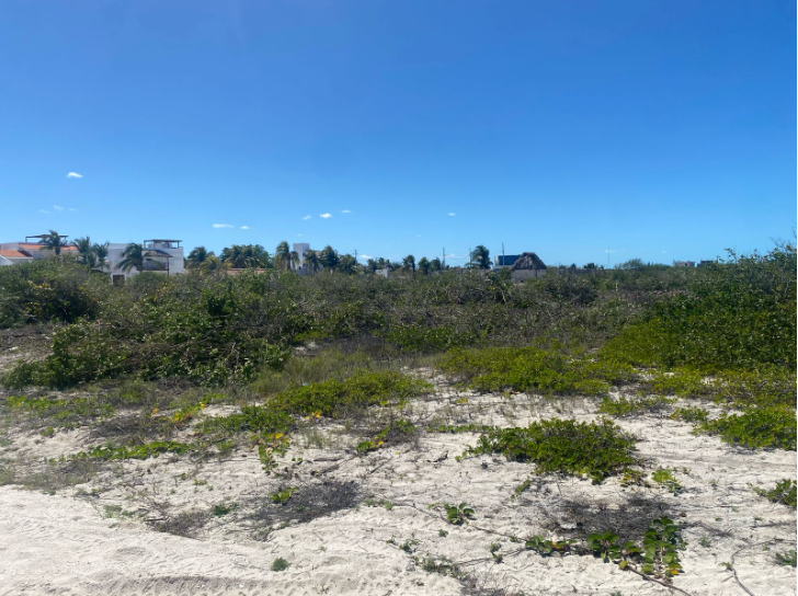 ''Terrenos ganados al mar en Sisal son propiedad de la nación'', aclara la Semarnat a pobladores que intentan ocuparlos