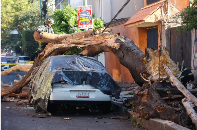 Más de 500 réplicas registradas tras sismo de magnitud 6.5 en Guerrero
