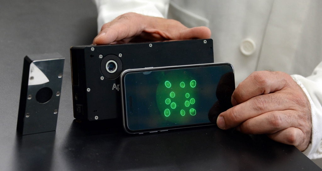 La Jornada Maya Nacional La Jornada Maya Crea UNAM software para